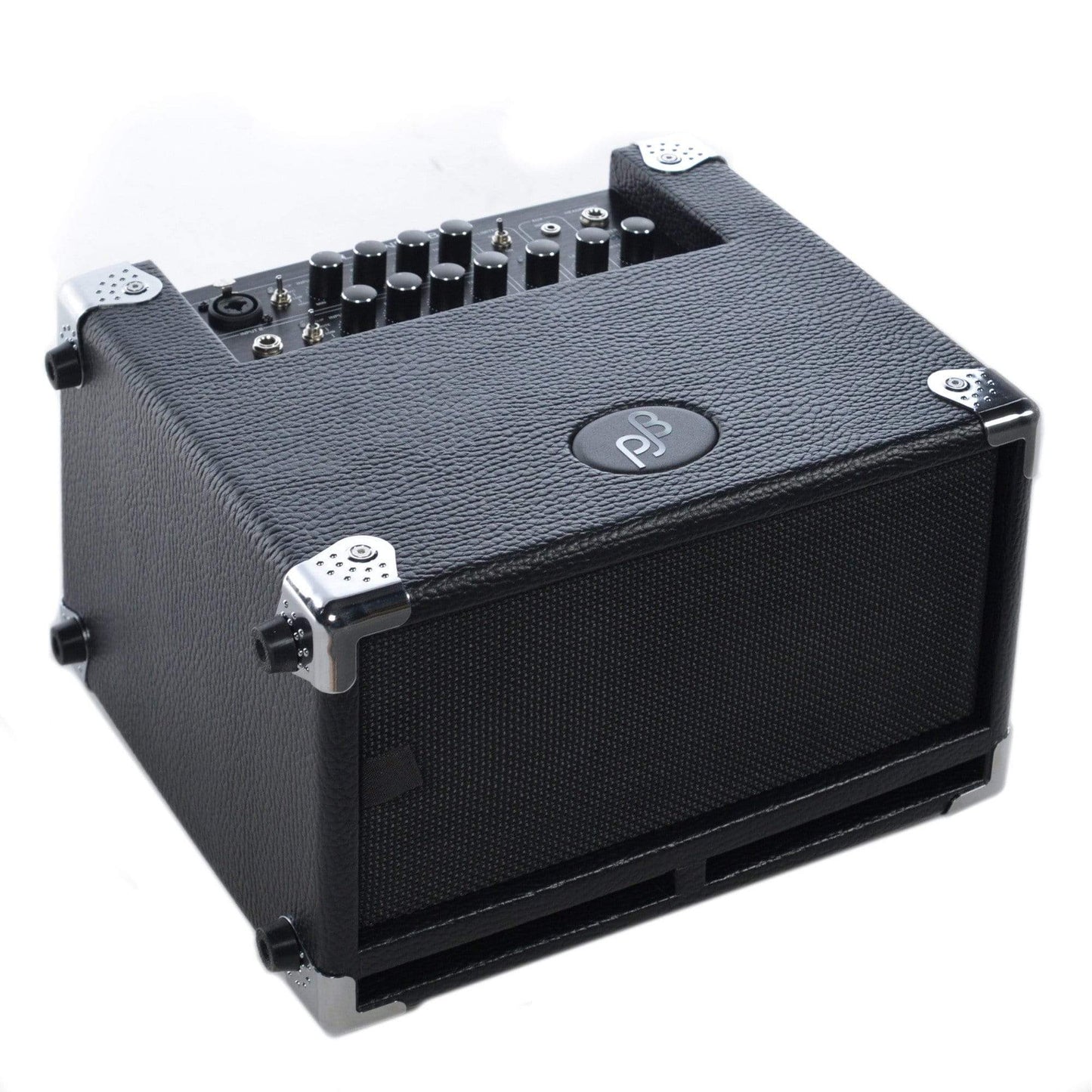 Phil Jones Bass Cub BG-100 Combo Amps / Bass Combos