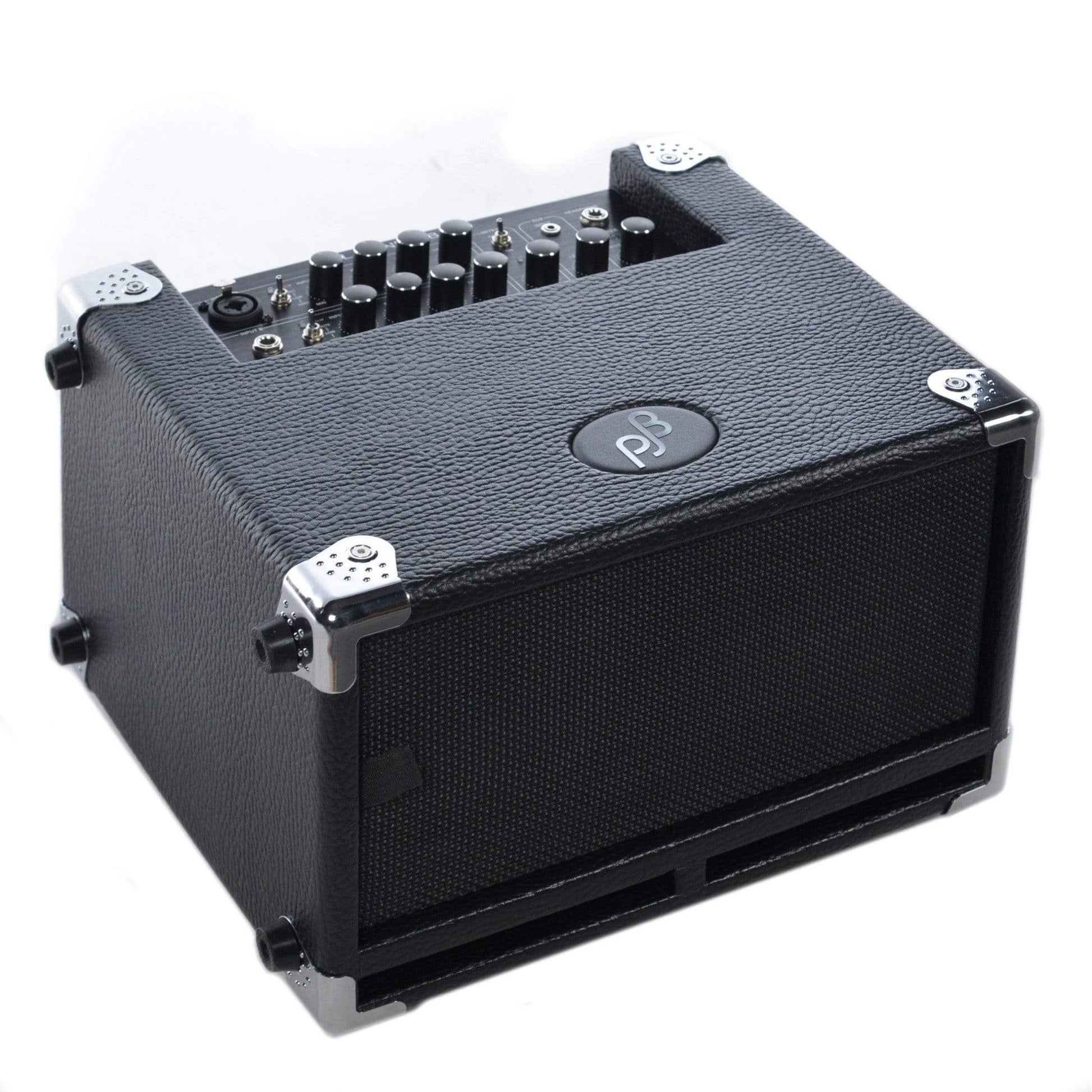 Phil Jones Bass Cub BG-100 Combo Amps / Bass Combos