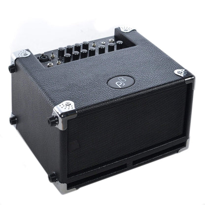 Phil Jones Bass Cub BG-100 Combo Amps / Bass Combos