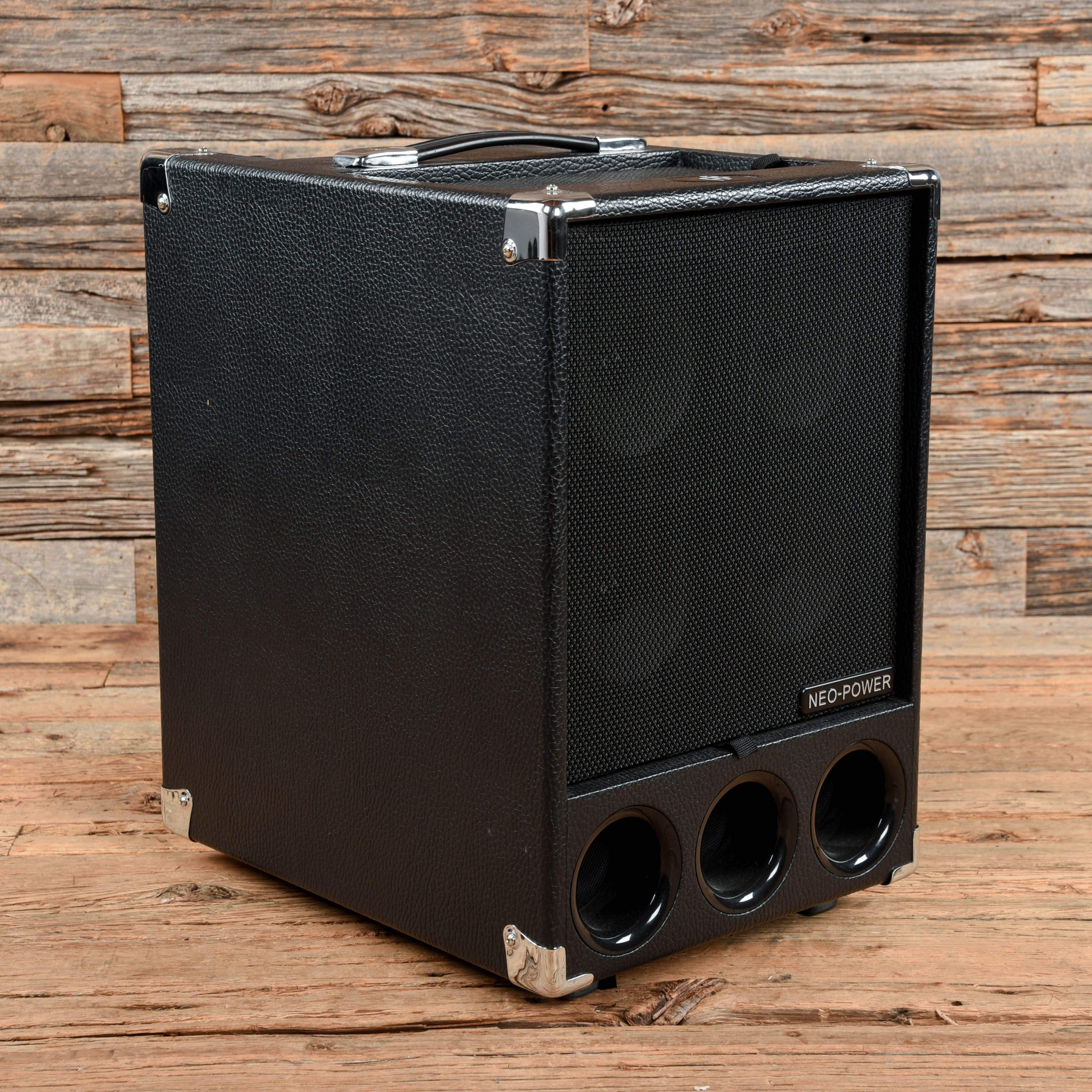 Phil Jones BG-300 Super Flightcase 250-Watt 6x5