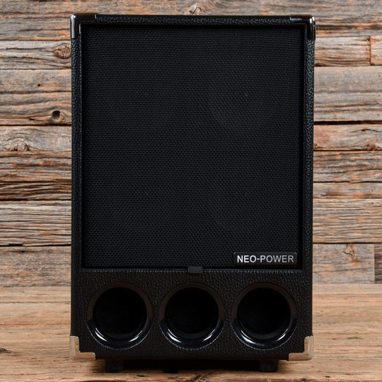 Phil Jones BG-300 Super Flightcase 250-Watt 6x5