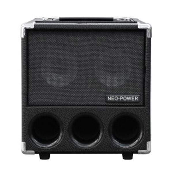 Phil Jones BG150W Flightcase Digital Amp Combo – Chicago Music