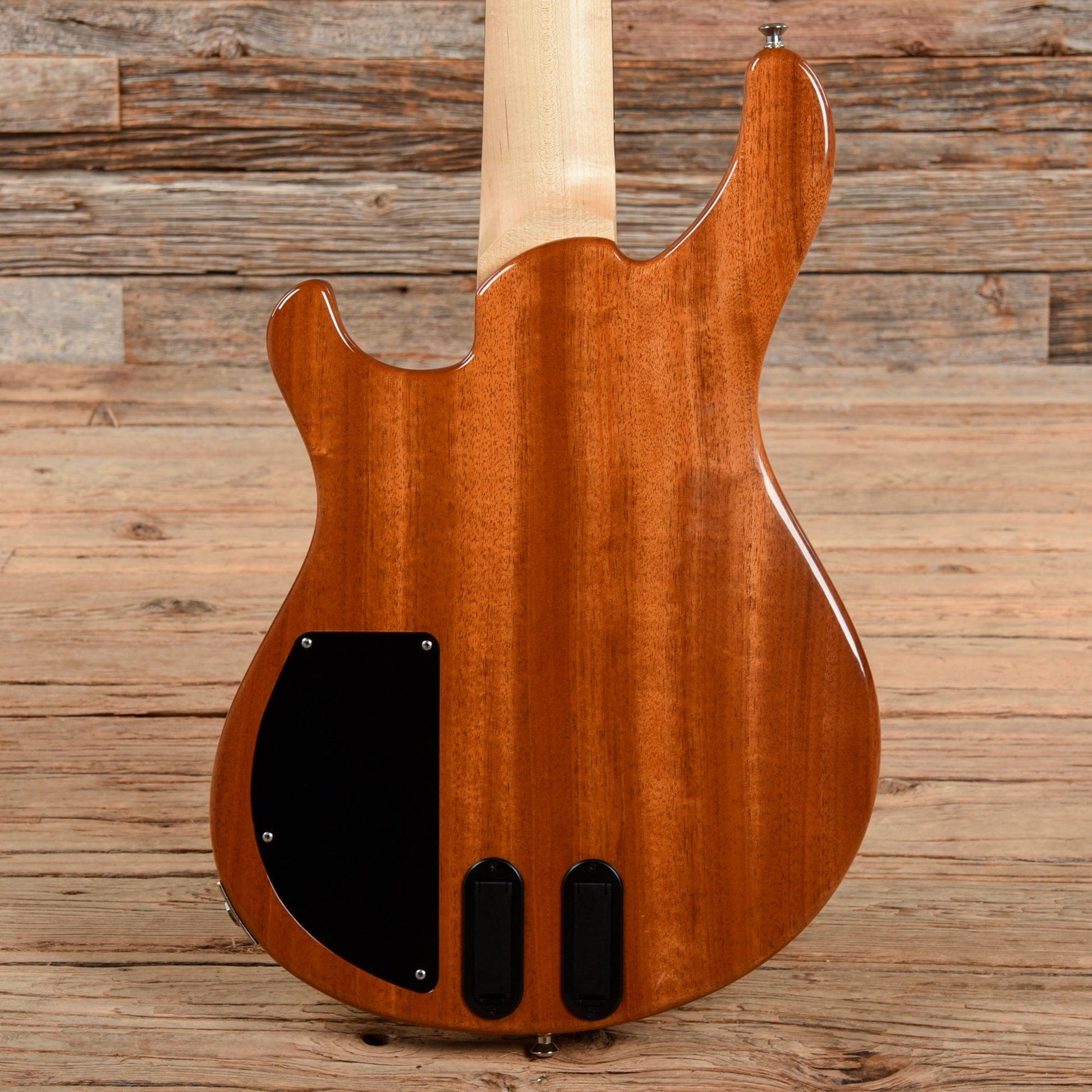 PRS GG5 Gary Grainger 10 Top Eriza Verde 2017 Bass Guitars / 5-String or More