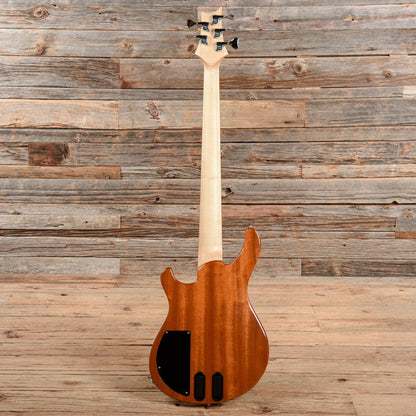 PRS GG5 Gary Grainger 10 Top Eriza Verde 2017 Bass Guitars / 5-String or More