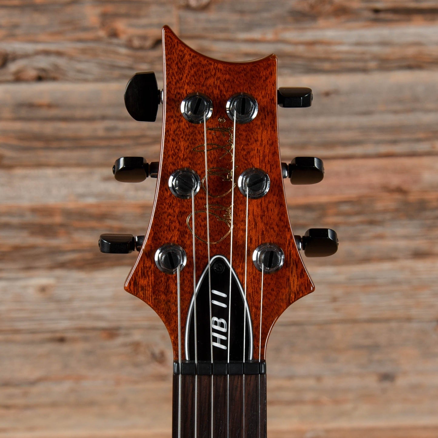 PRS Hollowbody II Piezo Mateo Mist 2010 Electric Guitars / Hollow Body