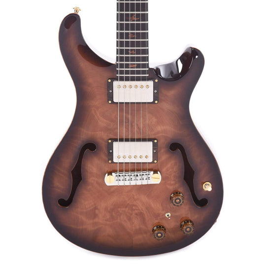 PRS Private Stock Electric Guitars / Hollow Body