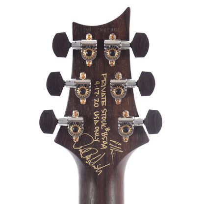PRS Private Stock Electric Guitars / Hollow Body