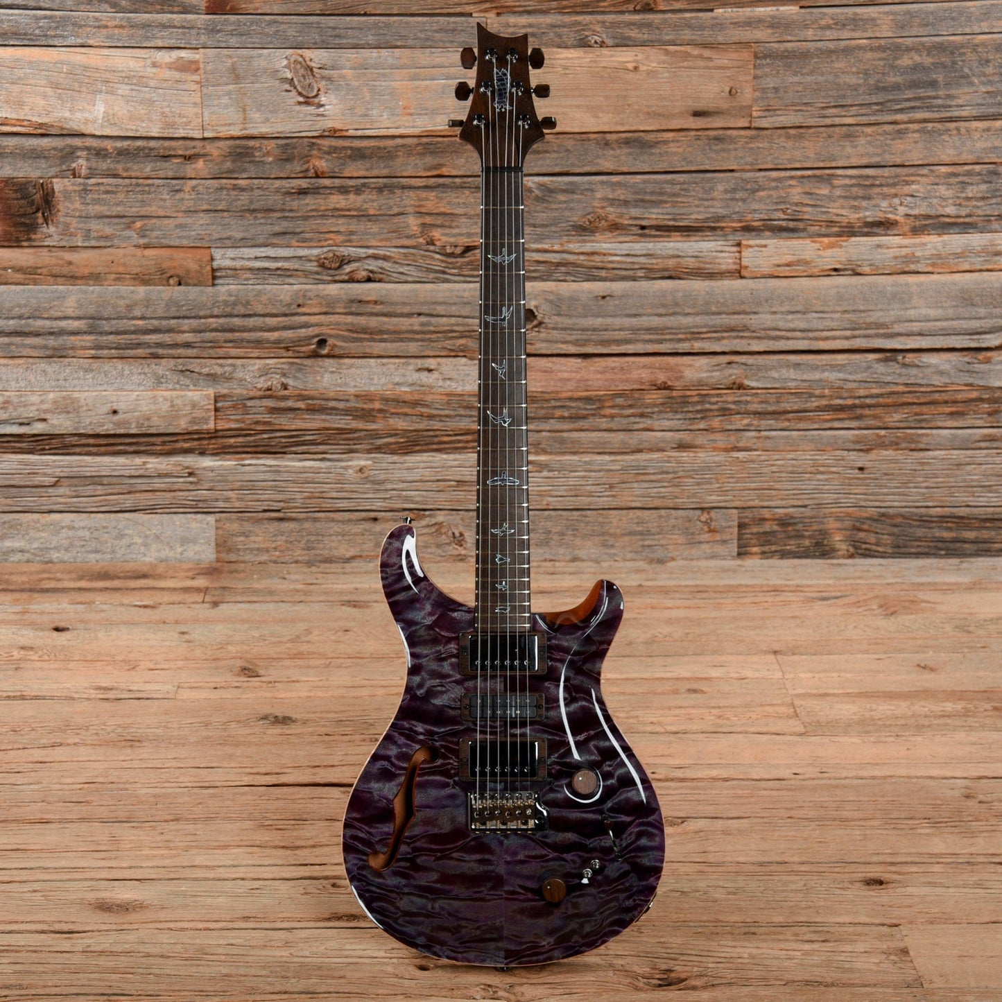 PRS Private Stock Special 22 Semi-Hollow Northern Lights 2019 Electric Guitars / Semi-Hollow