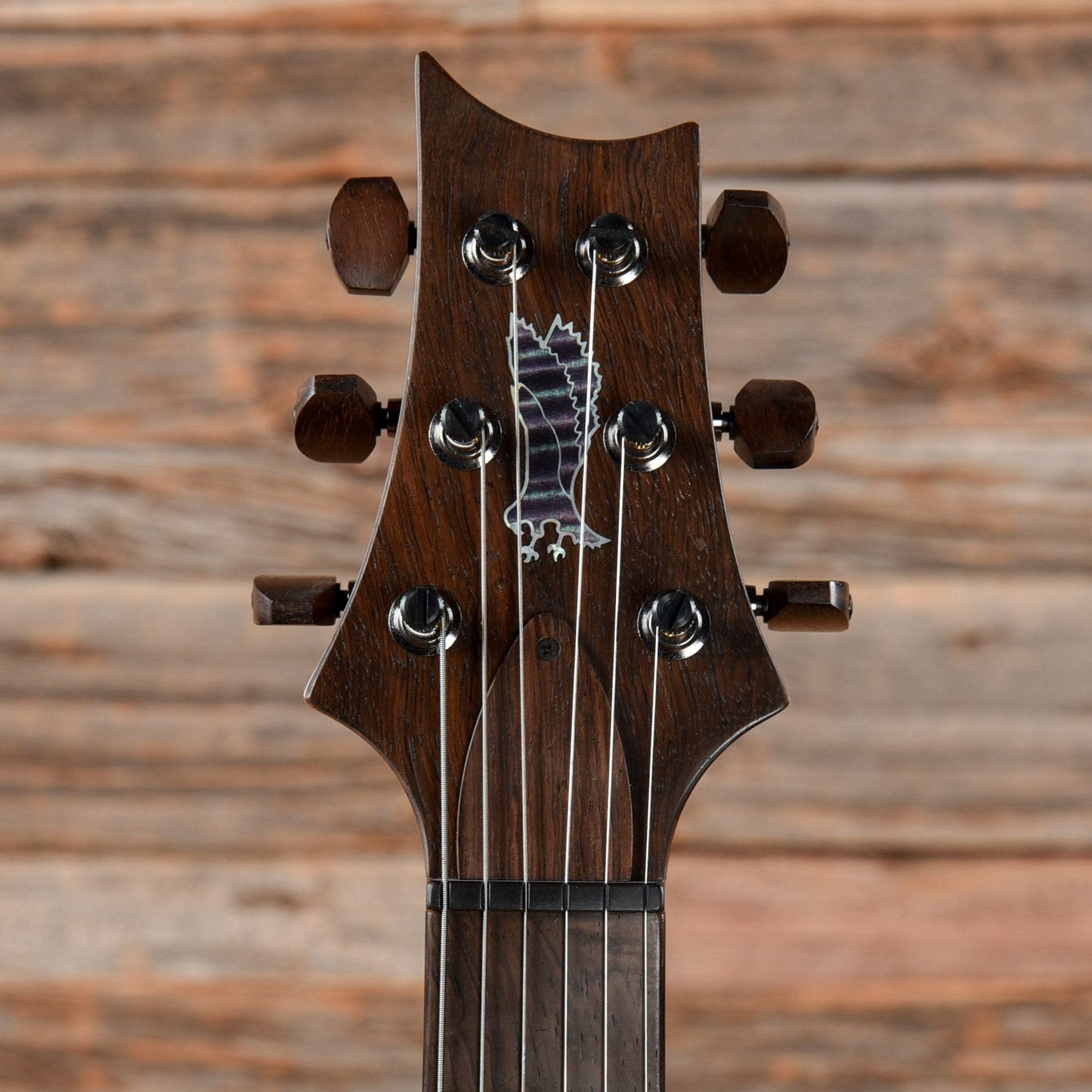 PRS Private Stock Special 22 Semi-Hollow Northern Lights 2019 Electric Guitars / Semi-Hollow