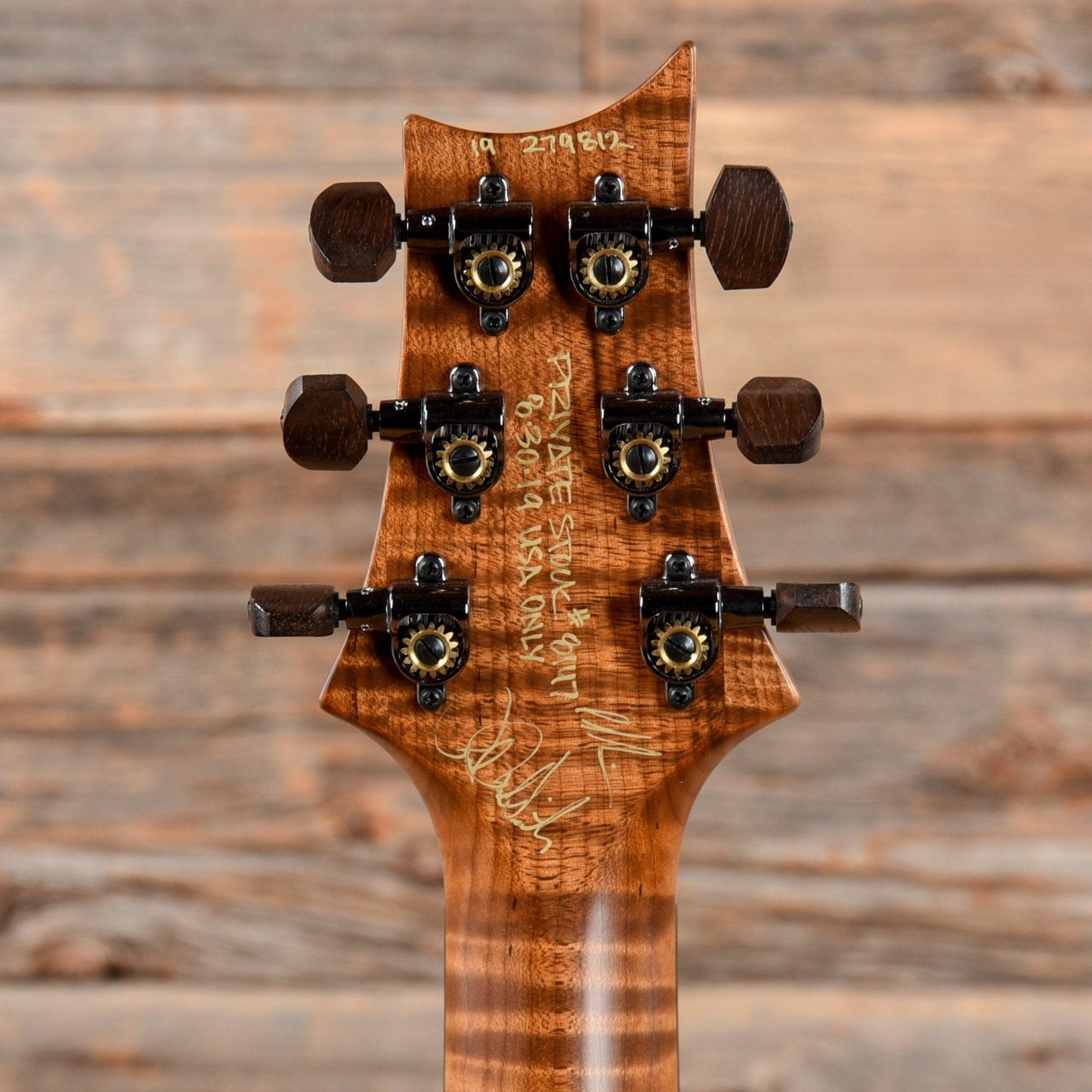 PRS Private Stock Special 22 Semi-Hollow Northern Lights 2019 Electric Guitars / Semi-Hollow