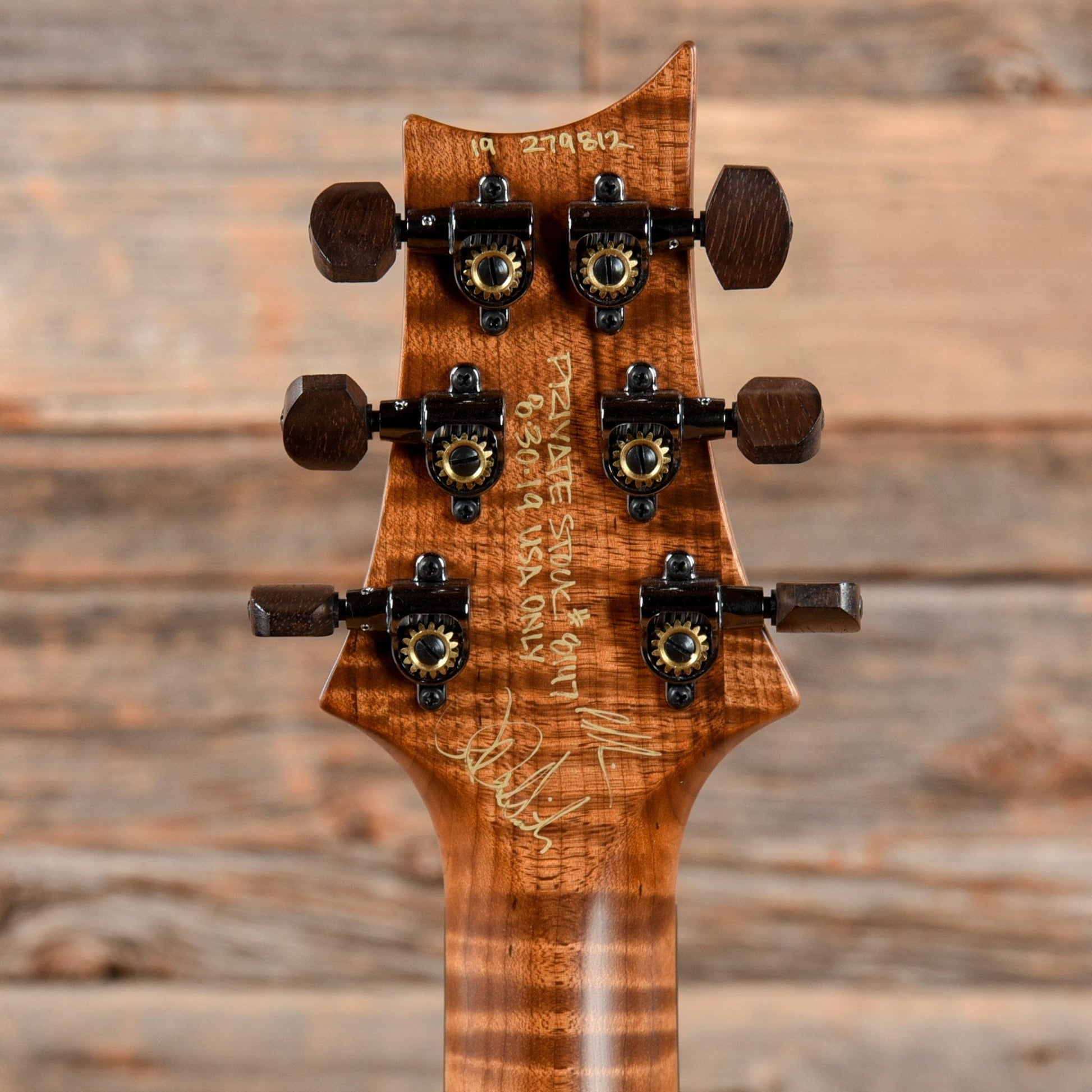 PRS Private Stock Special 22 Semi-Hollow Northern Lights 2019 Electric Guitars / Semi-Hollow