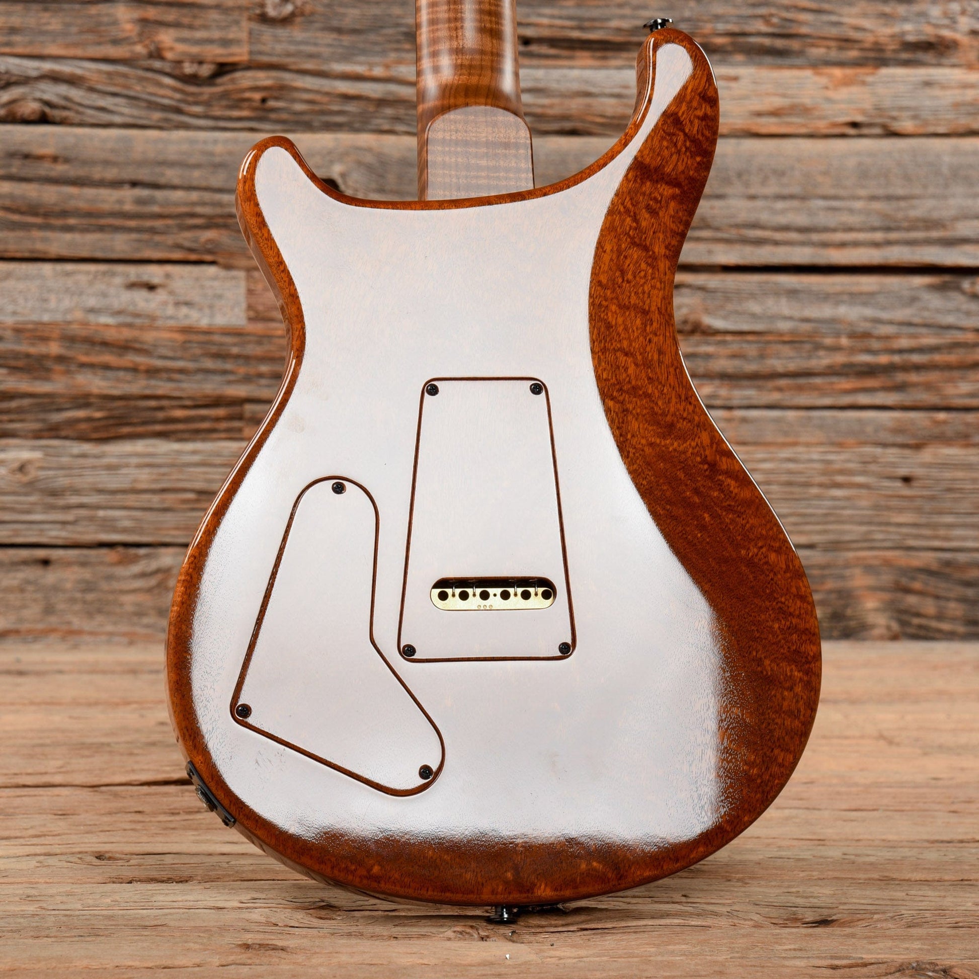 PRS Private Stock Special 22 Semi-Hollow Northern Lights 2019 Electric Guitars / Semi-Hollow