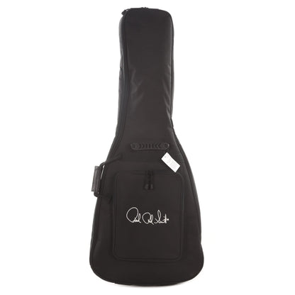 PRS S2 Custom 22 Semi-hollow Burnt Amber Burst Electric Guitars / Semi-Hollow