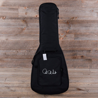 PRS S2 Vela Semi-Hollow Frost Green Metallic Electric Guitars / Semi-Hollow