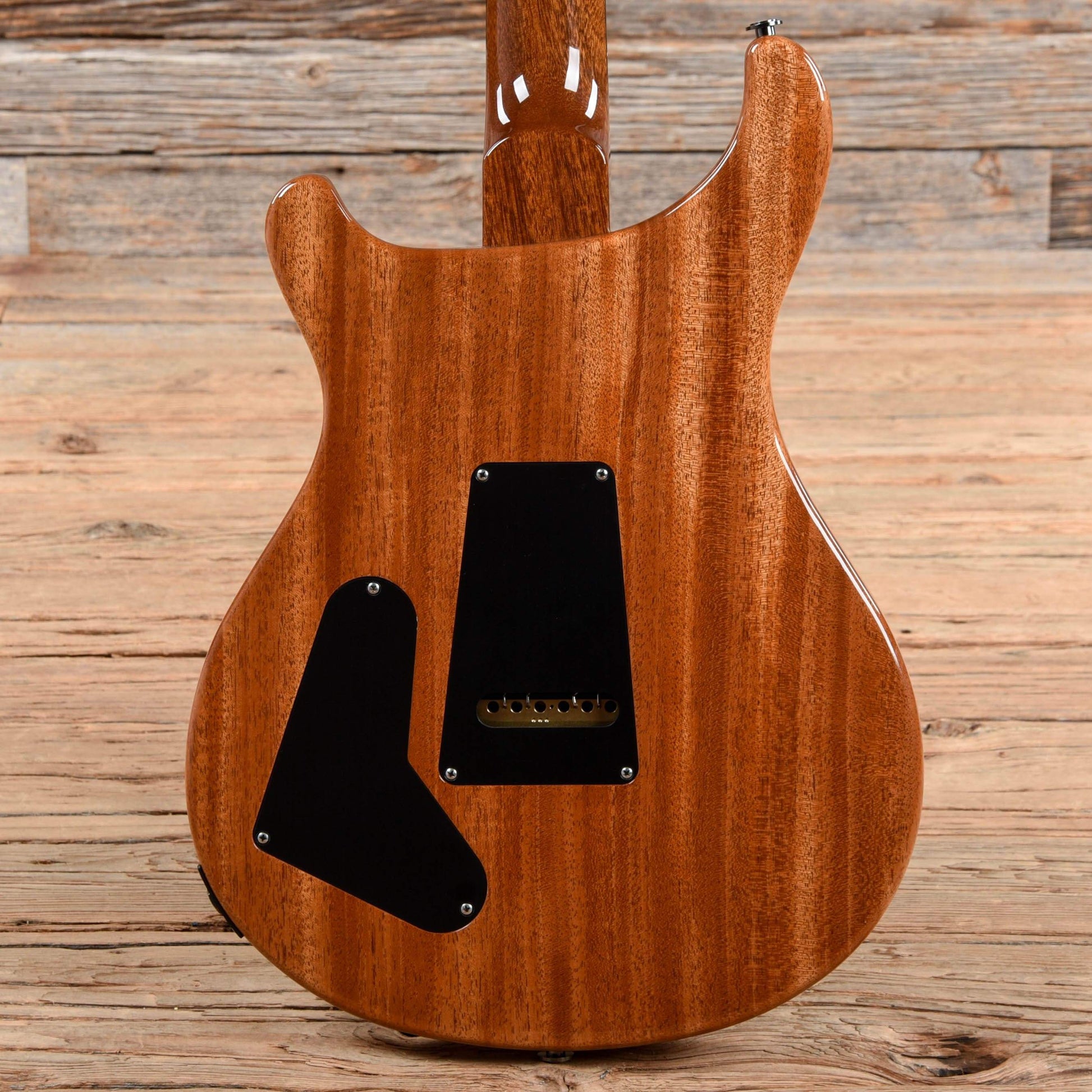 PRS Wood Library Custom 22 Special Semi-Hollow Charcoal 2019 Electric Guitars / Semi-Hollow