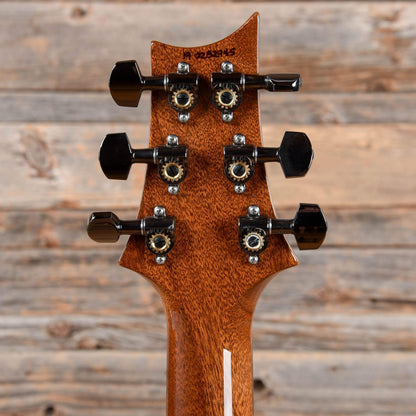 PRS Wood Library Custom 22 Special Semi-Hollow Charcoal 2019 Electric Guitars / Semi-Hollow