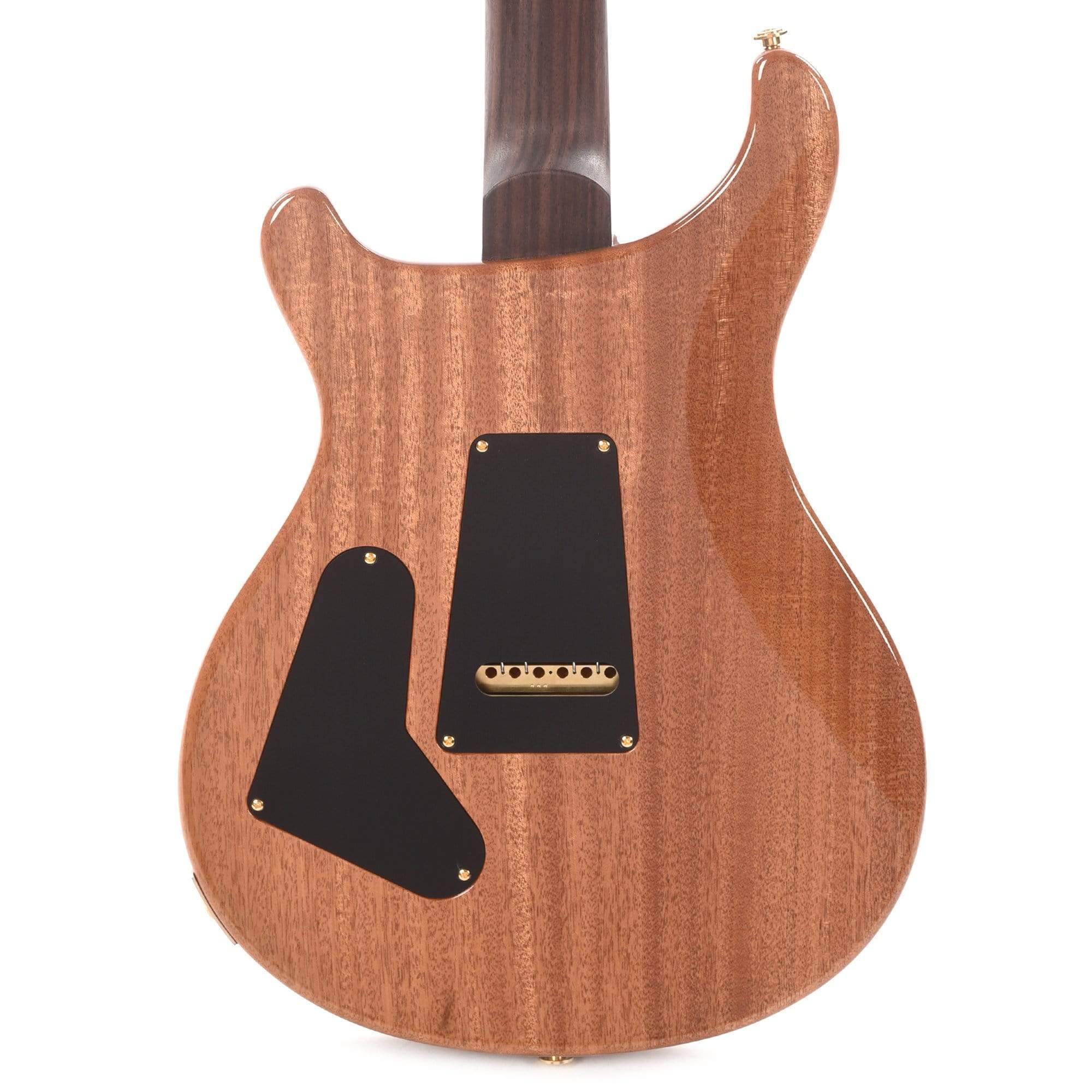 PRS Wood Library Custom 24 Semi-Hollow 10 Top Flame Evergreen w/Rosewood Neck & Brazilian Rosewood Fingerboard Electric Guitars / Semi-Hollow