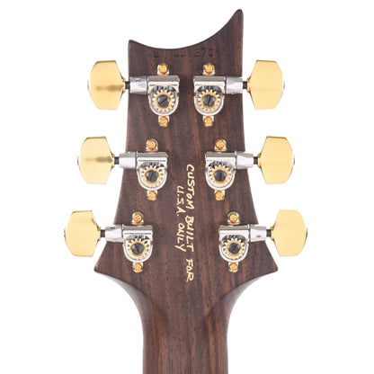 PRS Wood Library Custom 24 Semi-Hollow 10 Top Flame Evergreen w/Rosewood Neck & Brazilian Rosewood Fingerboard Electric Guitars / Semi-Hollow