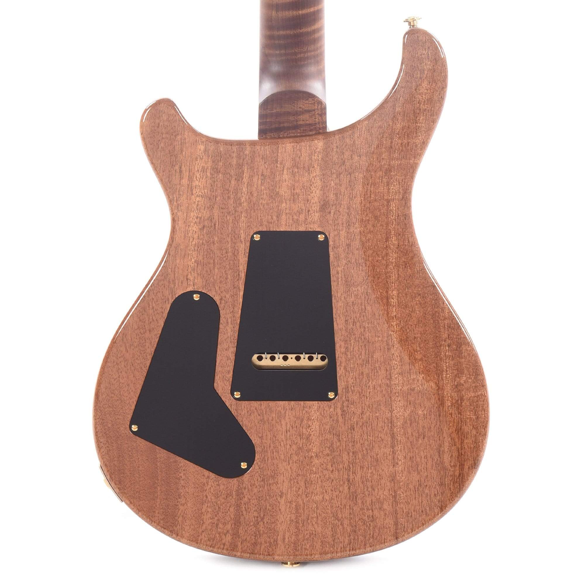 PRS Wood Library Custom 24 Semi-Hollow 10 Top Flame Evergreen w/Torrefied Maple Neck & Brazilian Rosewood Fingerboard Electric Guitars / Semi-Hollow