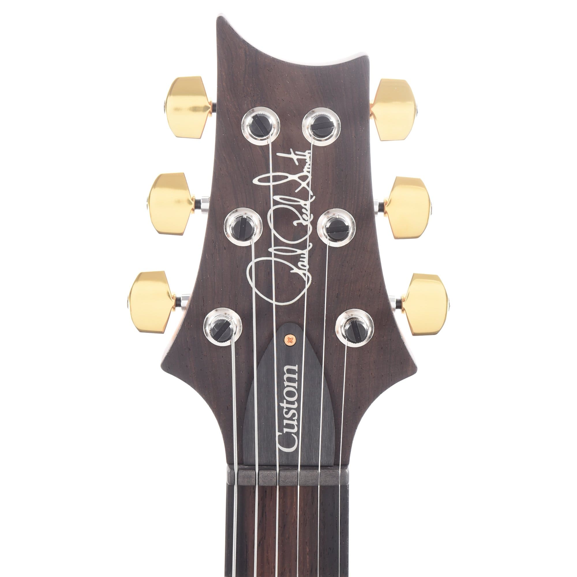 PRS Wood Library Custom 24 Semi-Hollow 10 Top Flame Evergreen w/Torrefied Maple Neck & Brazilian Rosewood Fingerboard Electric Guitars / Semi-Hollow