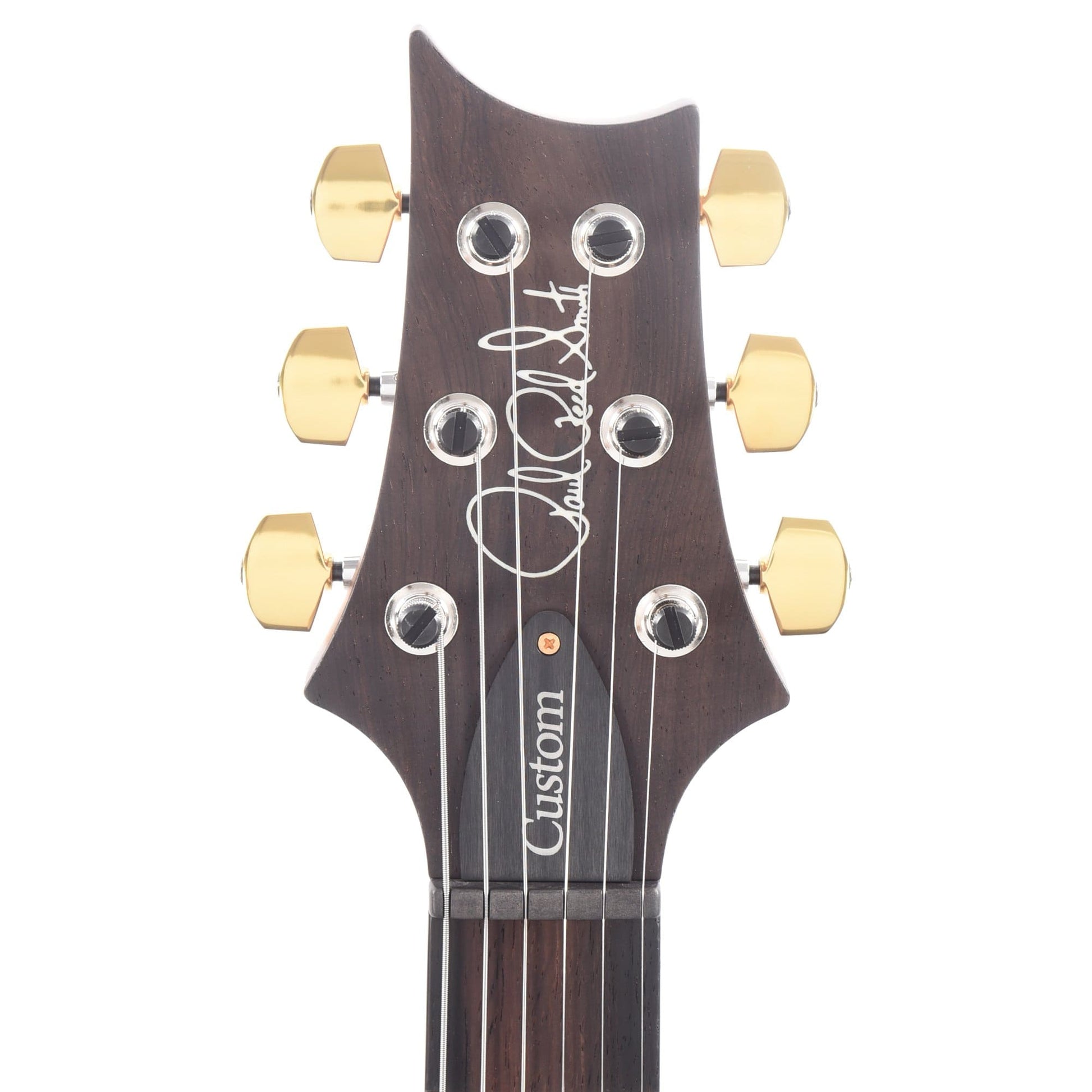 PRS Wood Library Custom 24 Semi-Hollow 10 Top Flame Evergreen w/Torrefied Maple Neck & Brazilian Rosewood Fingerboard Electric Guitars / Semi-Hollow