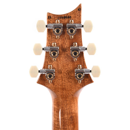 PRS Wood Library DGT 10-Top Quilt Trampas Green Fade w/Ebony Fingerboard & Figured Mahogany Neck Electric Guitars / Solid Body,Electric Guitars / Travel / Mini