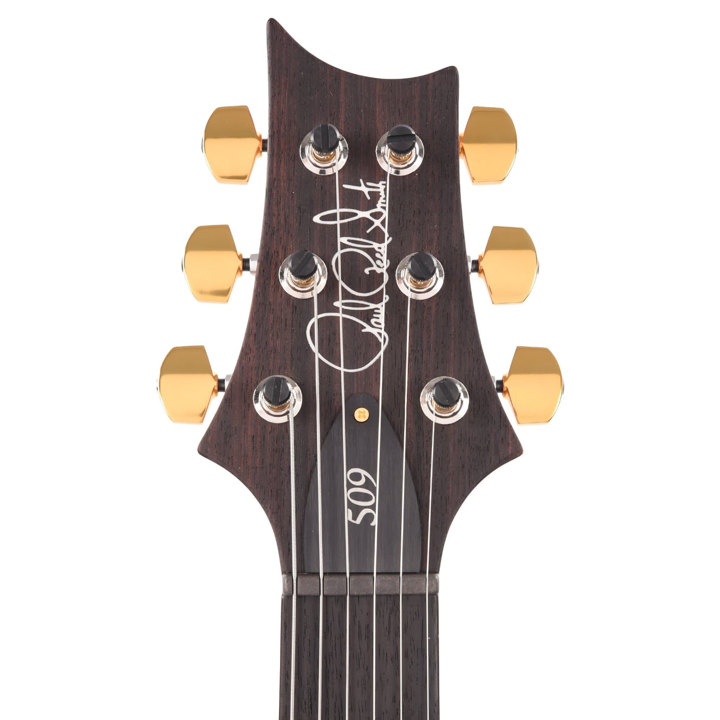 PRS 509 10-Top Purple Iris Electric Guitars / Solid Body
