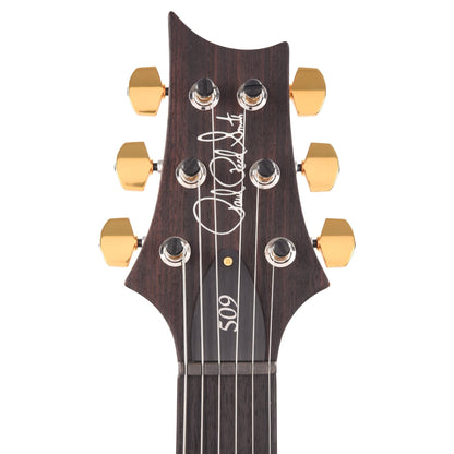 PRS 509 10-Top Purple Iris Electric Guitars / Solid Body