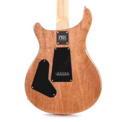 PRS CE 24 Eriza Verde Electric Guitars / Solid Body