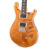 PRS CE24 Amber Electric Guitars / Solid Body