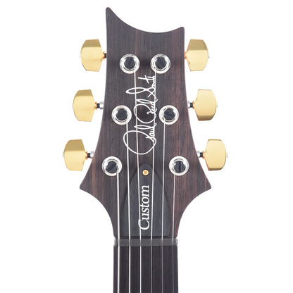 PRS Custom 24 10 Top Aquamarine Electric Guitars / Solid Body