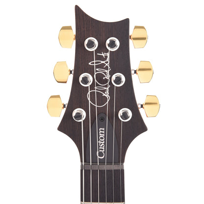 PRS Custom 24 10 Top Trampas Green Electric Guitars / Solid Body