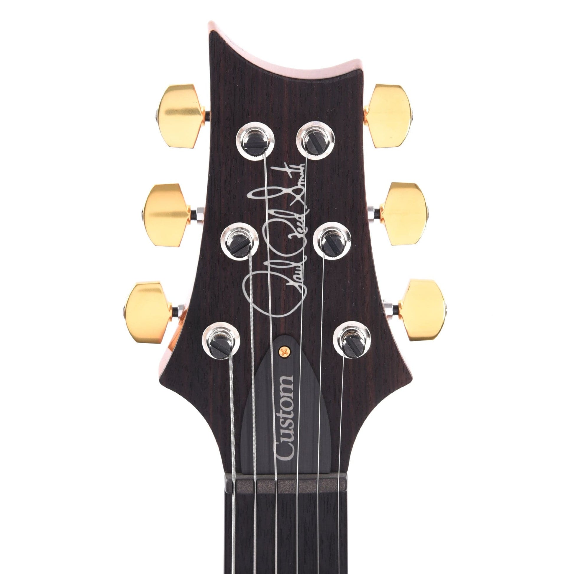 PRS Custom 24 Piezo 10 Top Purple Iris Electric Guitars / Solid Body