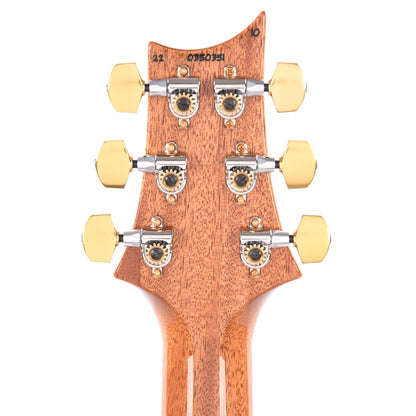 PRS Custom 24 Piezo 10 Top Purple Iris Electric Guitars / Solid Body