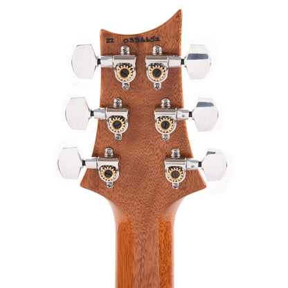 PRS Custom 24 Trampas Green Electric Guitars / Solid Body