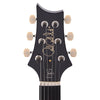 PRS DGT 10-Top Cobalt Blue w/Birds Electric Guitars / Solid Body