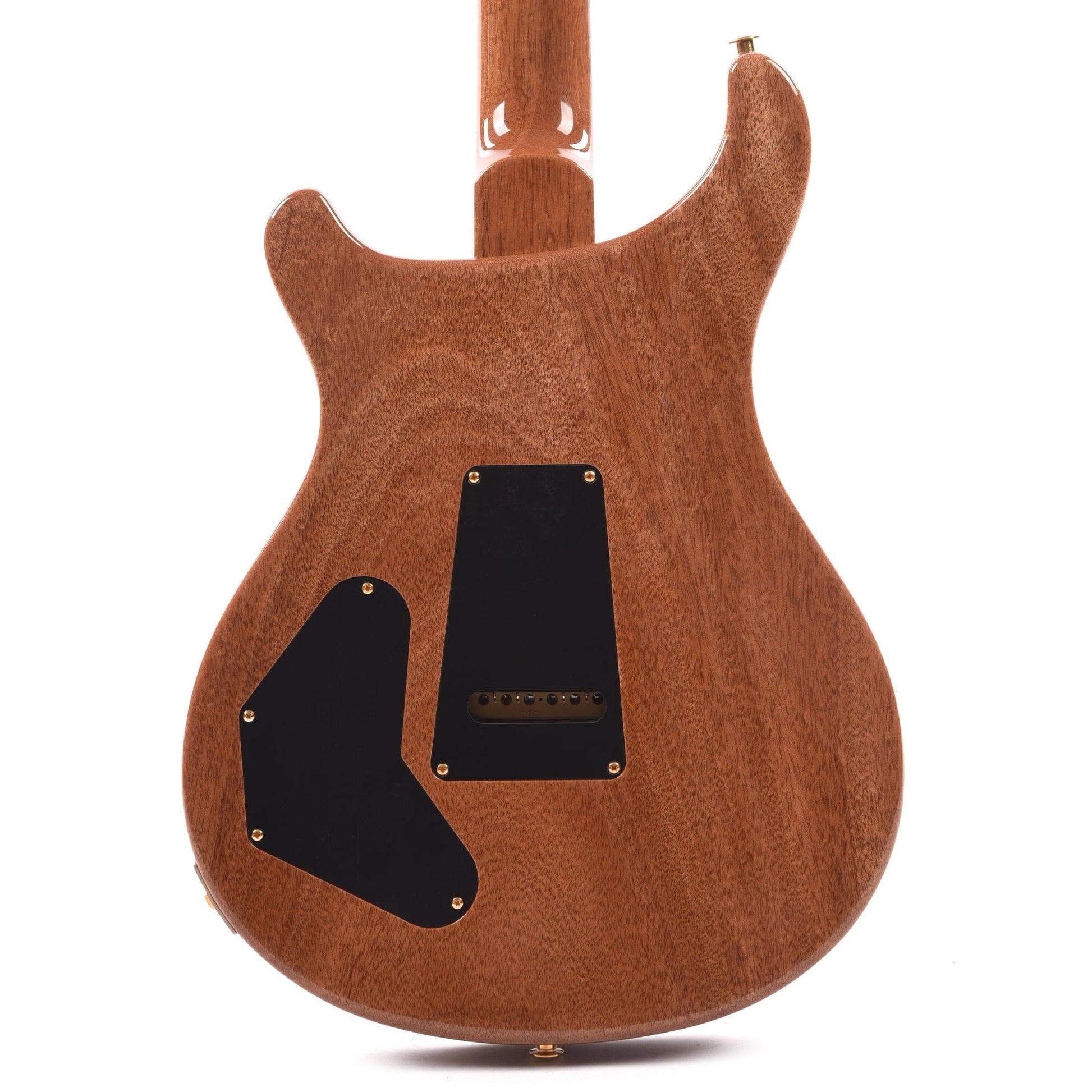 PRS DGT 10-Top Purple Iris w/Birds Electric Guitars / Solid Body