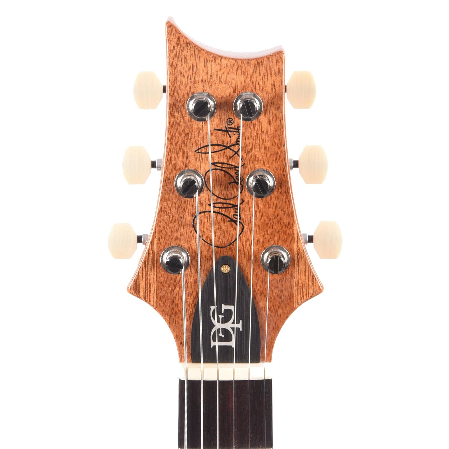 PRS DGT 10-Top Purple Iris w/Birds Electric Guitars / Solid Body