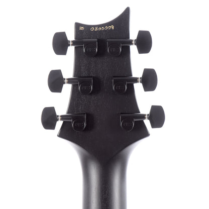 PRS Dustie Waring CE 24 Floyd Gray Black Electric Guitars / Solid Body