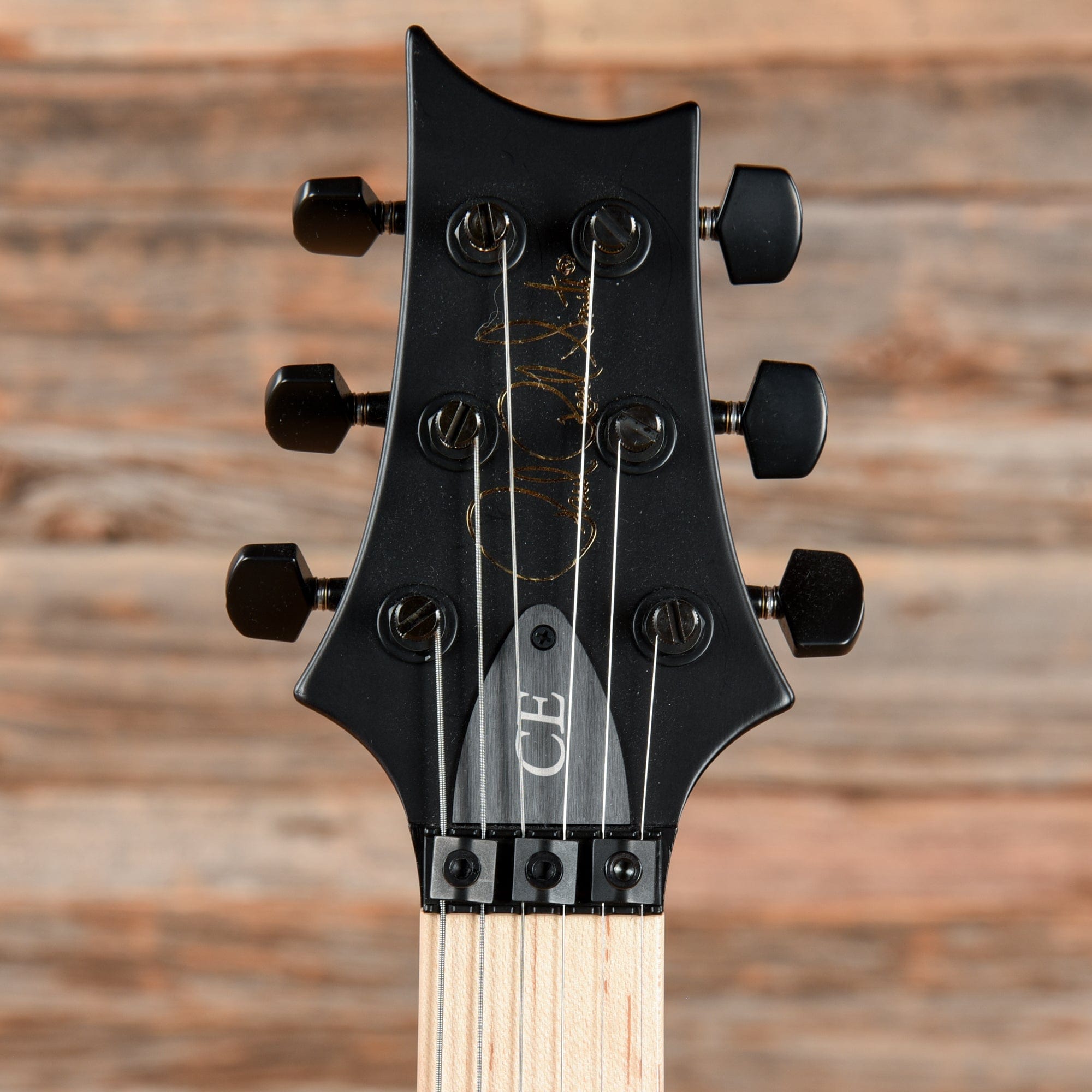 PRS Dustie Waring Signature CE 24 Floyd Black Top 2021 Electric Guitars / Solid Body
