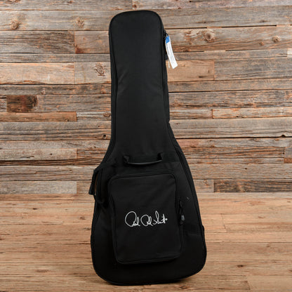 PRS Dustie Waring Signature CE 24 Floyd Grey Black 2020 Electric Guitars / Solid Body