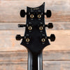 PRS Dustie Waring Signature Custom 24 10 Top Waring Burst 2015 Electric Guitars / Solid Body