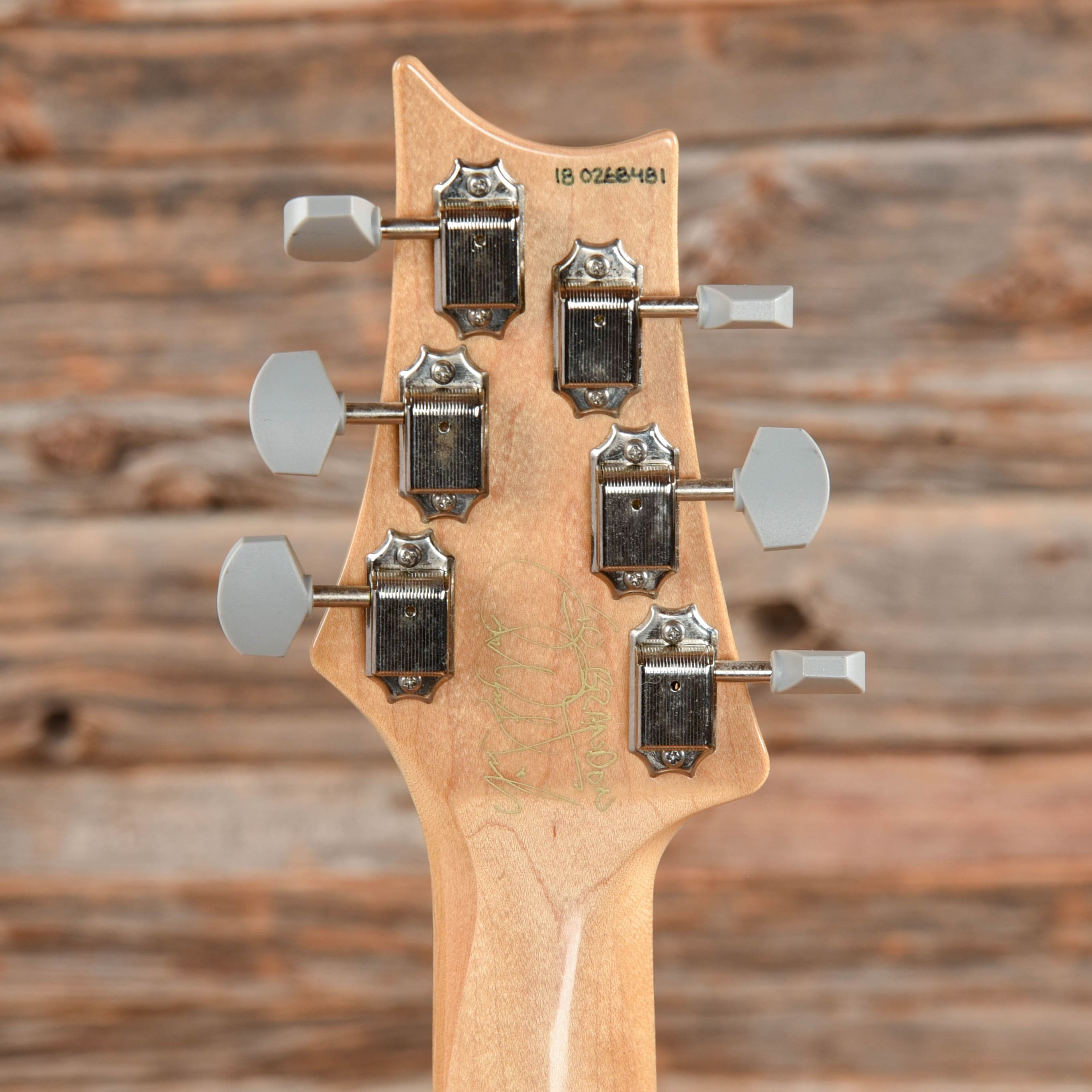 PRS John Mayer Silver Sky Horizon 2018 Electric Guitars / Solid Body