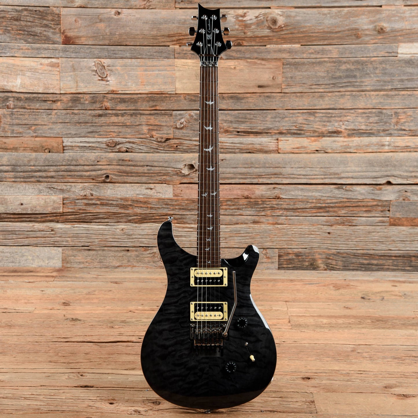 PRS Paul Reed Smith SE Floyd Custom 24 Grey Black 2014 Electric Guitars / Solid Body