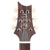 PRS Paul's Guitar Aquamarine 10 Top w/Pattern Neck Electric Guitars / Solid Body