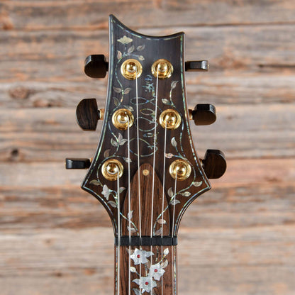 PRS Private Stock #261 Custom 22 Tree of Life Tiger Eye 2001 Electric Guitars / Solid Body