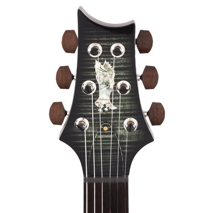 PRS Private Stock #8756 Custom 24 Sage Smokeburst w/Brazilian Rosewood Neck Electric Guitars / Solid Body