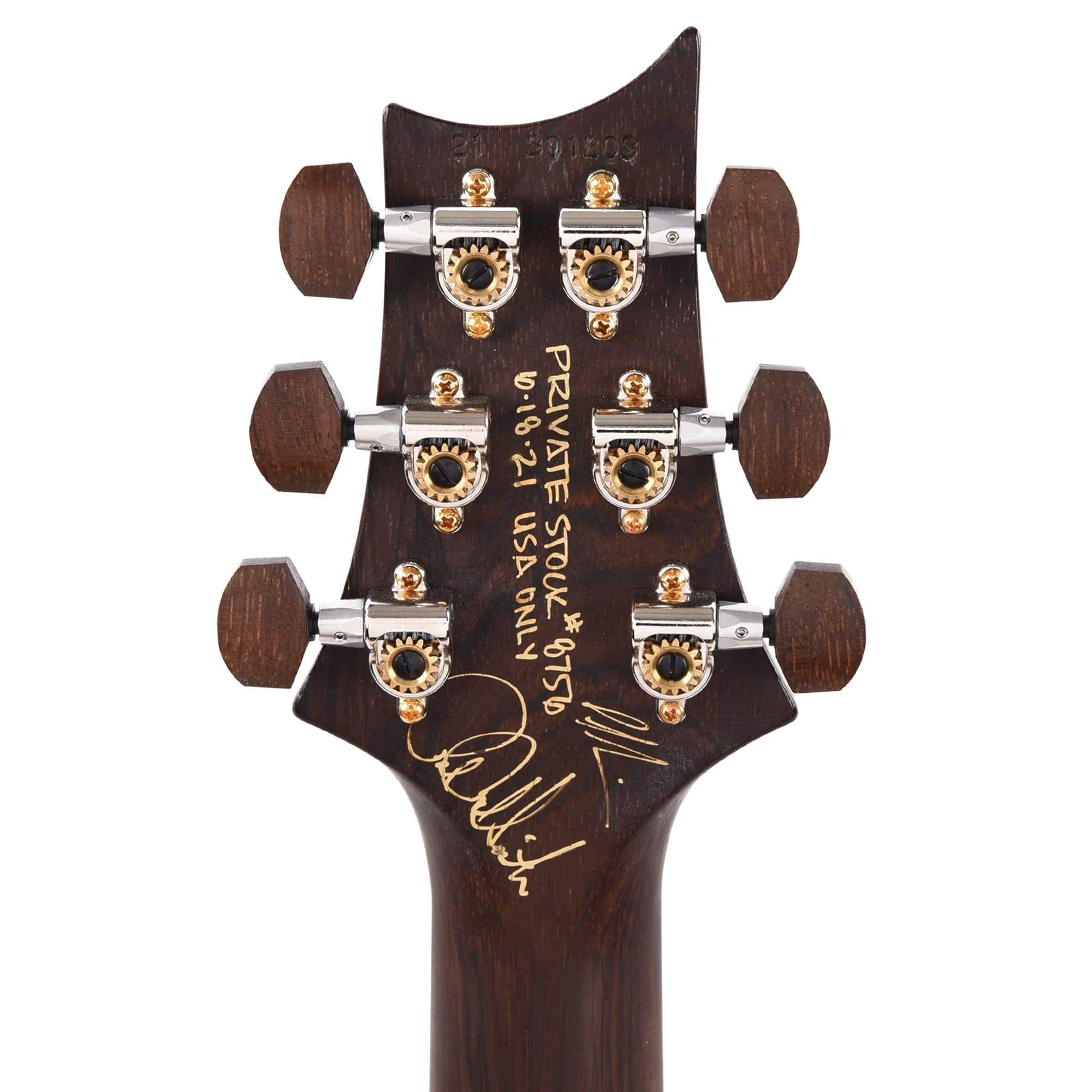 PRS Private Stock #8756 Custom 24 Sage Smokeburst w/Brazilian Rosewood Neck Electric Guitars / Solid Body