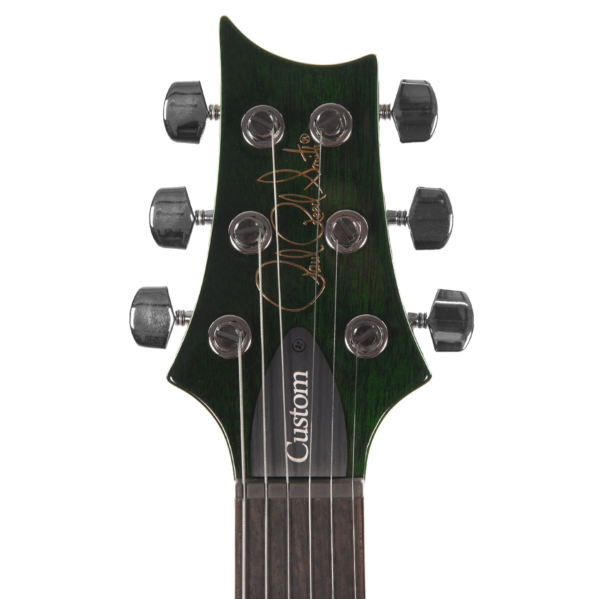 PRS S2 Custom 24 Eriza Verde Electric Guitars / Solid Body