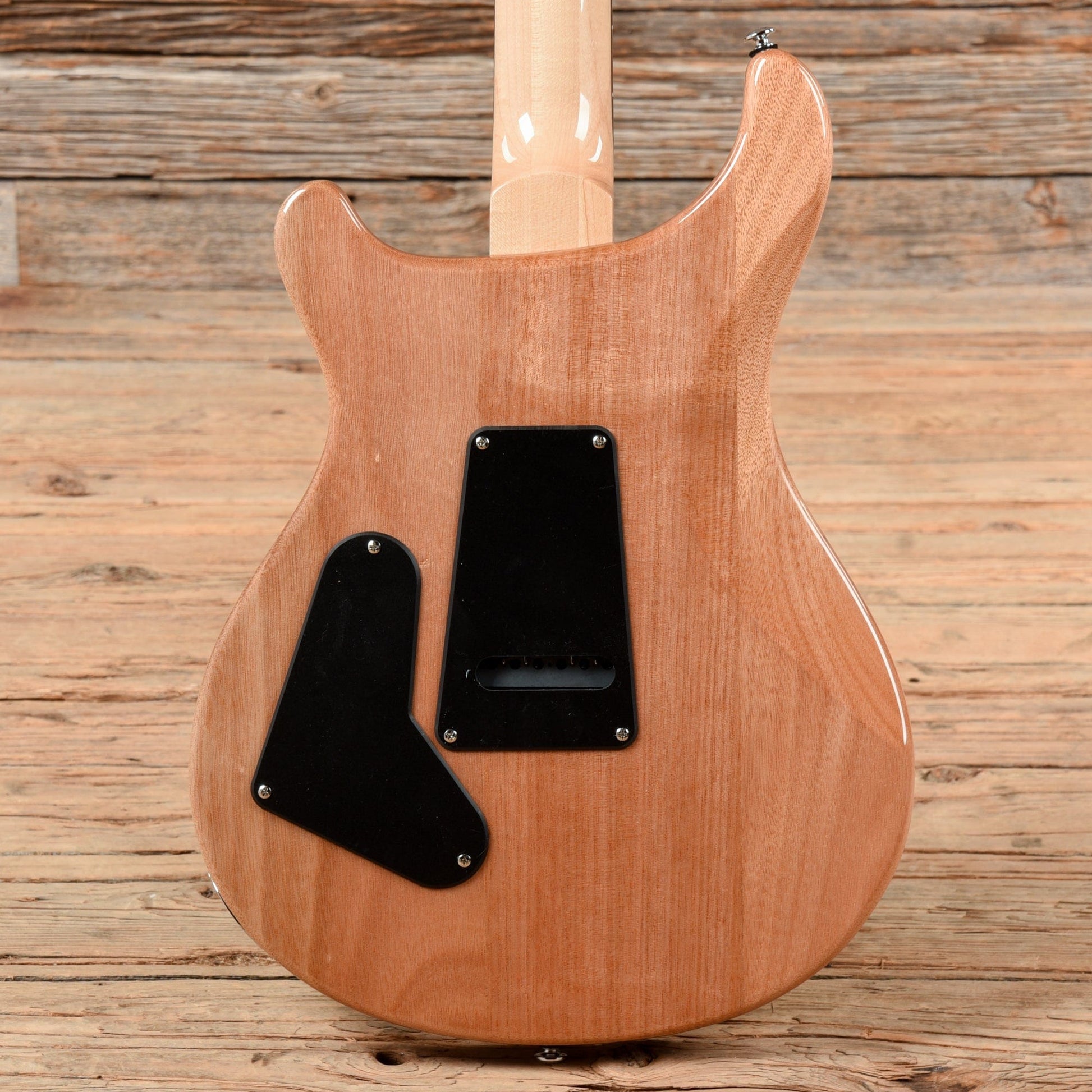 PRS SE Custom 24-08 Eriza Verde 2022 Electric Guitars / Solid Body